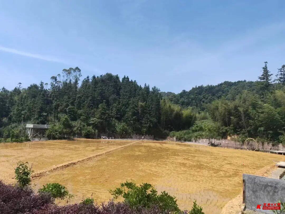 龙岩kk网>论坛导航>>≡单位政务≡>>适中镇>>违占"零容忍",打好"攻坚